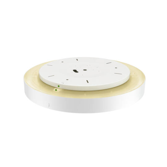 Product picture back view