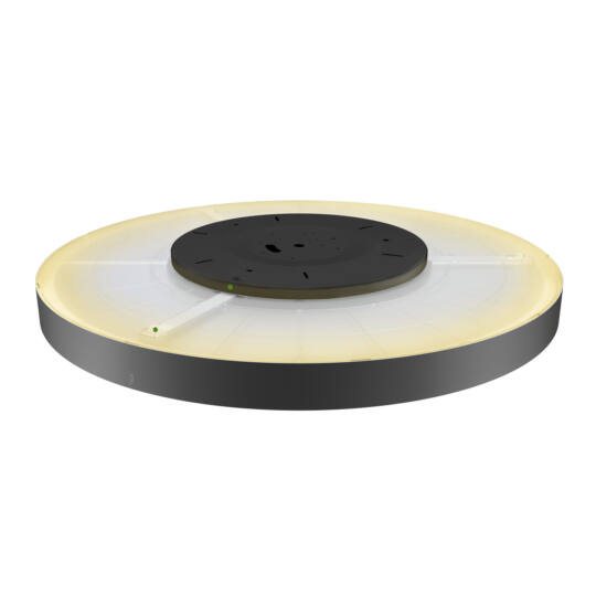 Product picture back view