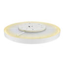 Product picture back view