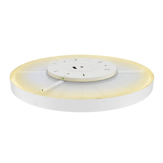 Product picture back view