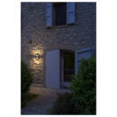 Milieu picture