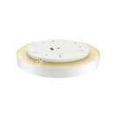 Product picture back view