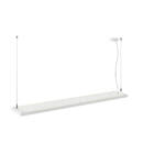 Product picture back view