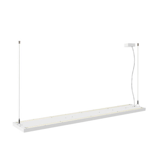 Product picture back view