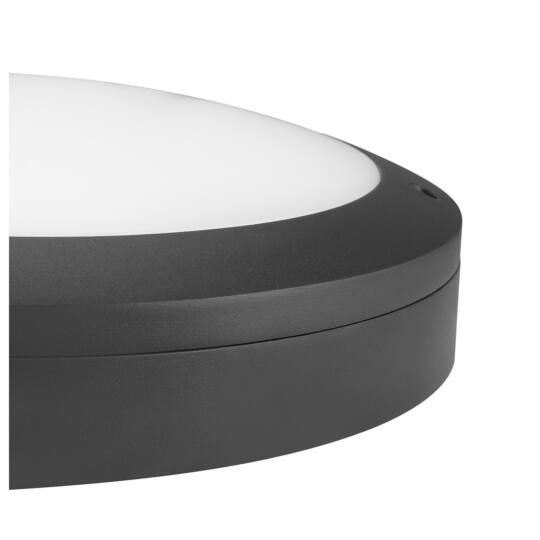 Product picture top view