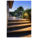 Milieu picture