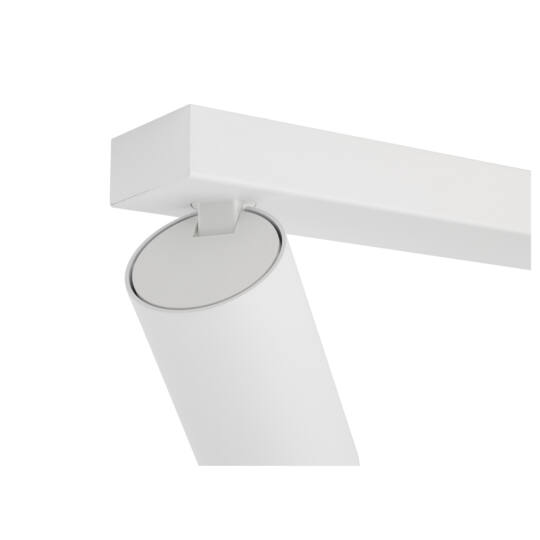 Product picture back view