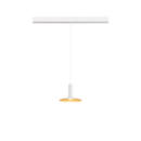 Product picture detailed view