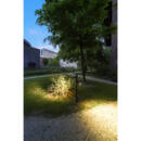 Milieu picture