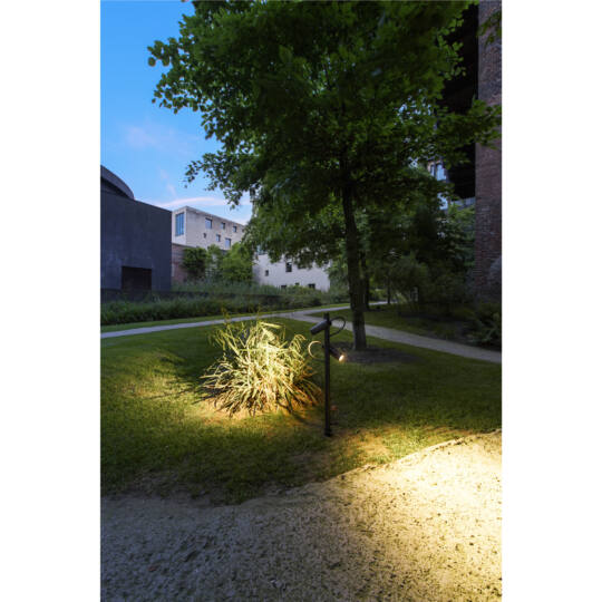 Milieu picture
