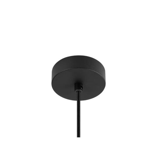 Product picture back view