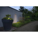Milieu picture