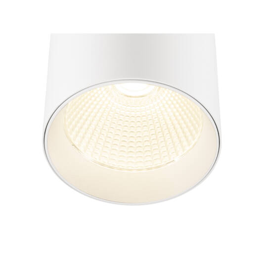 Product picture back view