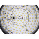 Product picture back view