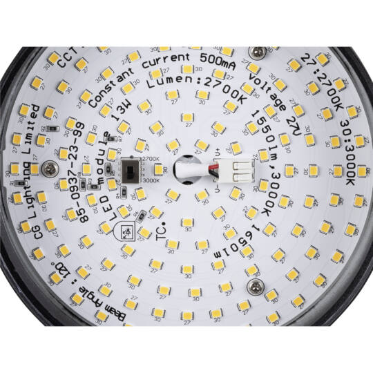 Product picture back view