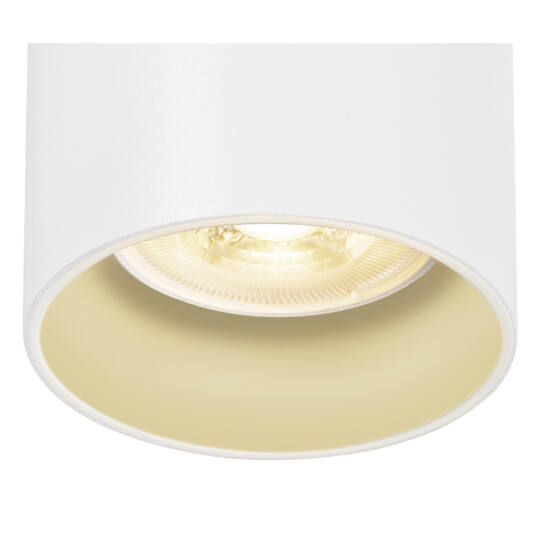 Product picture back view