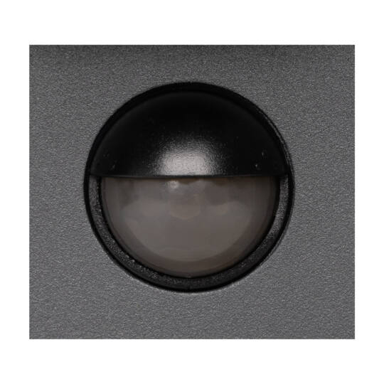 Product picture back view