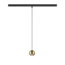 Product picture back view