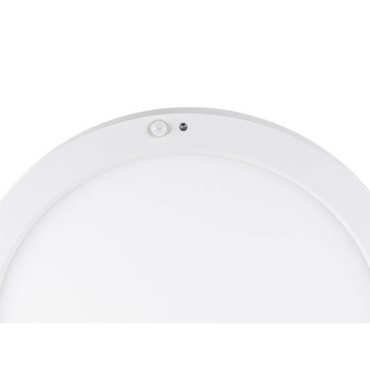 Product picture back view