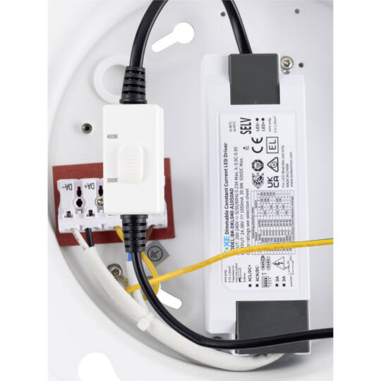 Product picture back view