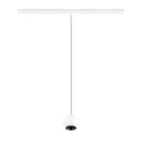 Product picture back view