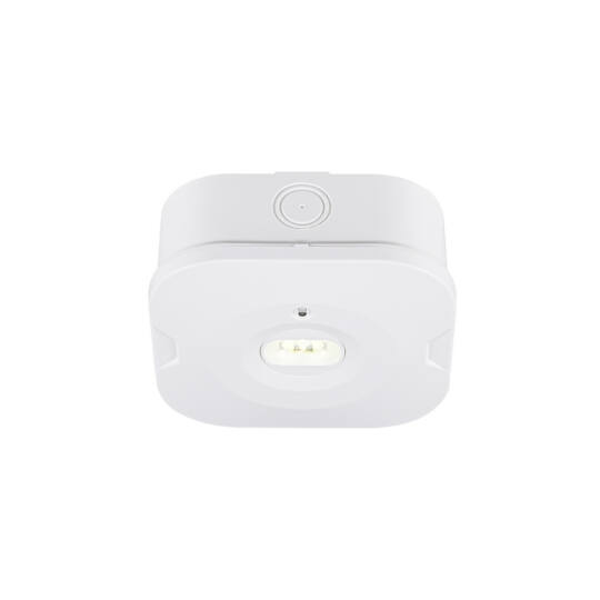 Product picture back view